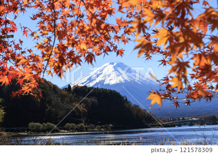 富士山と紅葉 河口湖沿岸から撮影 富士山と紅葉 河口湖沿岸から撮影 121578309