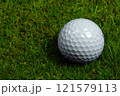 ゴルフボール 121579113