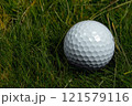 ゴルフボール 121579116