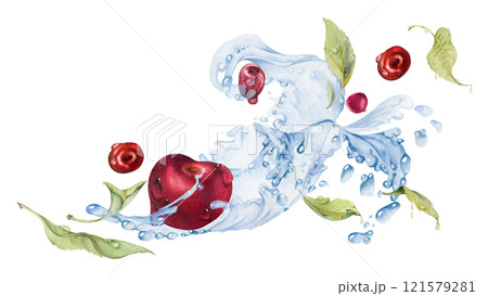 Sweet sour cherry cerise flying in water splashes drops, hand drawn in watercolor, ripe red garden berry with leaves. Isolated composition illustration. Restaurant cafe menu, farmers market, wedding Sweet sour cherry cerise flying in water splashes drops, hand drawn in watercolor, ripe red garden berry with leaves. Isolated composition illustration. Restaurant cafe menu, farmers market, wedding 121579281