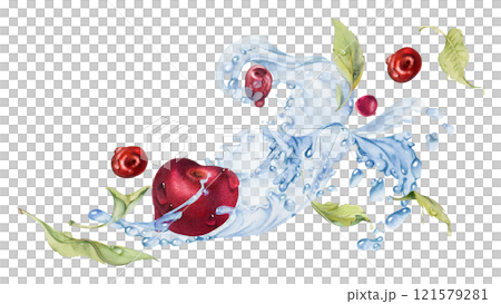 Sweet sour cherry cerise flying in water splashes drops, hand drawn in watercolor, ripe red garden berry with leaves. Isolated composition illustration. Restaurant cafe menu, farmers market, wedding Sweet sour cherry cerise flying in water splashes drops, hand drawn in watercolor, ripe red garden berry with leaves. Isolated composition illustration. Restaurant cafe menu, farmers market, wedding 121579281