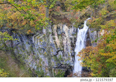 紅葉に映える華厳の滝 奥日光 121579397