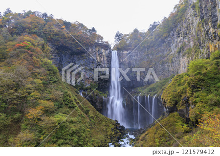 紅葉に映える華厳の滝 奥日光 紅葉に映える華厳の滝 奥日光 121579412