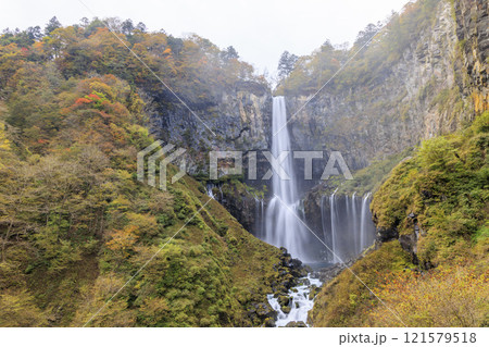 紅葉に映える華厳の滝 奥日光 紅葉に映える華厳の滝 奥日光 121579518