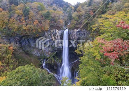 紅葉に映える華厳の滝 奥日光 紅葉に映える華厳の滝 奥日光 121579539
