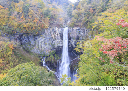 紅葉に映える華厳の滝 奥日光 紅葉に映える華厳の滝 奥日光 121579540