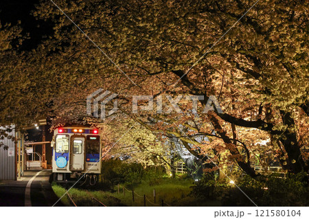 夜桜のある駅に停まる列車（松浦鉄道） 121580104