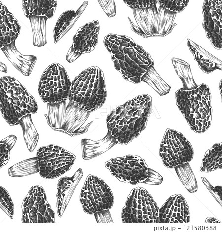 Seamless illustration with outline sketches of morel mushrooms, whole and halves. Seamless illustration with outline sketches of morel mushrooms, whole and halves. 121580388