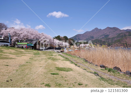 シッコゴ公園 シッコゴ公園 121581300