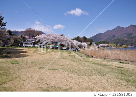 シッコゴ公園 121581302
