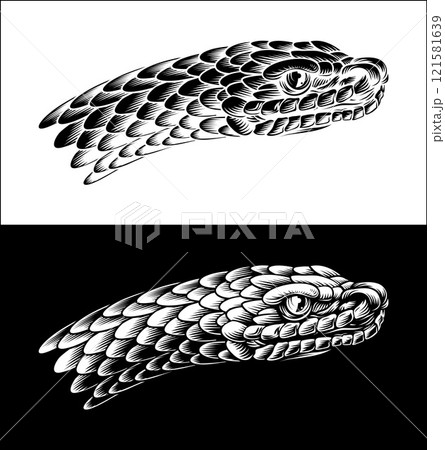 Snake Head Woodcut Vintage Etched Woodcut Style 121581639