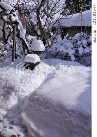 冬の成巽閣庭園 121581947