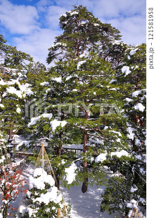 冬の成巽閣庭園 121581958