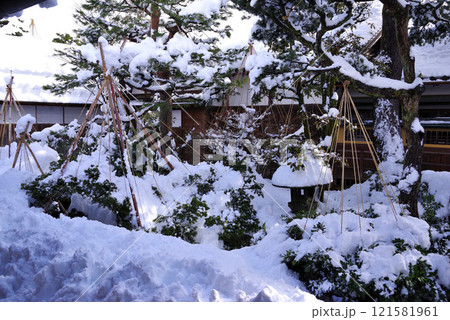 冬の成巽閣庭園 121581961