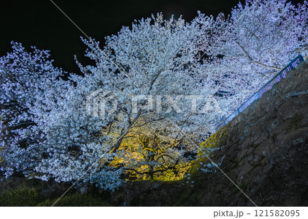 戌亥櫓台の夜桜【松代城跡】 戌亥櫓台の夜桜【松代城跡】 121582095
