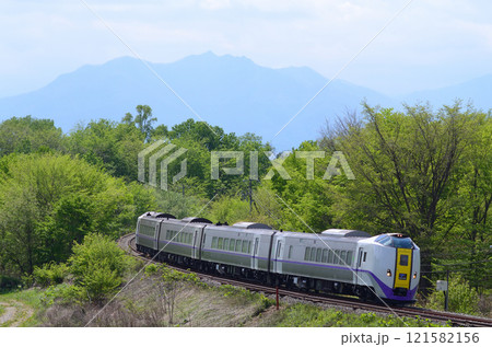 薄っすらとシルエットを見せる日高山脈と新緑をバックに帯広駅を目指す特急「とかち」 121582156