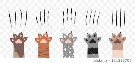 Cat scratch. Set of claws scratches, pets or wild animal nails rip isolated on transparent background. Lion or tiger flat scratch marks. Cartoon cat foot print. Vector illustration 121582706