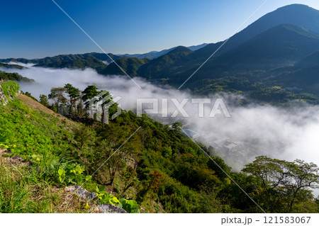 【日本100名城】秋の朝の津和野城　三十間台から見た雲海3　島根県鹿足郡津和野町 121583067