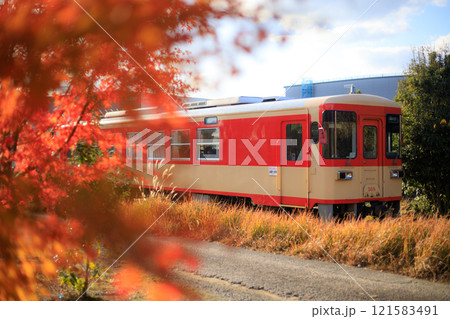 紅葉のそばを通過するAR300形(甘木鉄道) 紅葉のそばを通過するAR300形(甘木鉄道) 121583491
