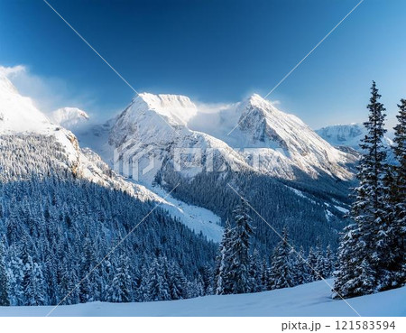 冬の雪山 121583594