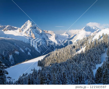 冬の雪山 121583597