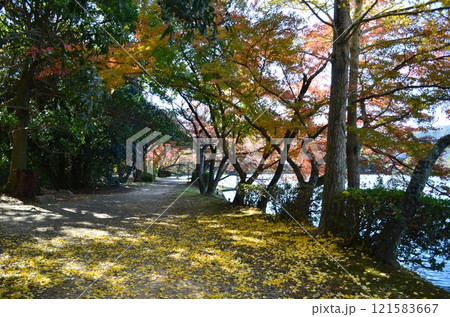 北嵯峨の秋 北嵯峨の秋 121583667