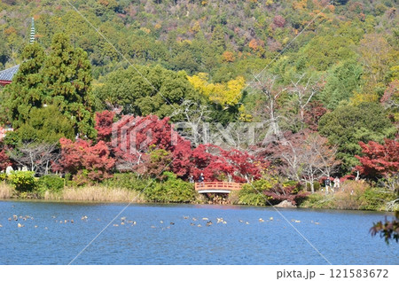 北嵯峨の秋 北嵯峨の秋 121583672
