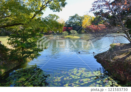 大沢池 121583730