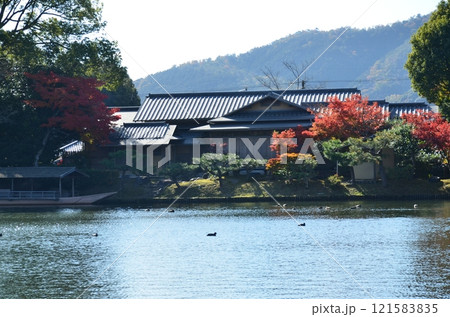 北嵯峨の秋 北嵯峨の秋 121583835