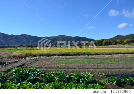 北嵯峨の秋 121583960