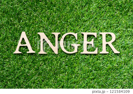 Wood alphabet letter in word anger on artificial green grass background Wood alphabet letter in word anger on artificial green grass background 121584109