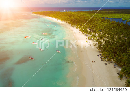 Tropical Caribbean beach from above, Dominican Republic 121584420