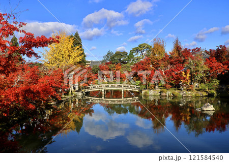 永観堂・禅林寺・綿雲橋・紅葉(京都・左京区) 永観堂・禅林寺・綿雲橋・紅葉(京都・左京区) 121584540