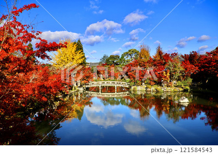 永観堂・禅林寺・綿雲橋・紅葉(京都・左京区) 永観堂・禅林寺・綿雲橋・紅葉(京都・左京区) 121584543