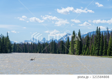 Athabasca River in Jasper National Park. Alberta, Canada. Canadian Rockies summer landscape. 121584808