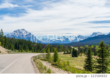 Icefields Parkway (Alberta Highway 93) in Jasper National Park, Alberta, Canada. Canadian Rockies summer landscape. Mount Kerkeslin in the background. 121584832