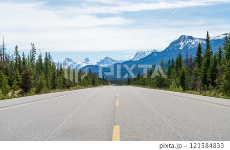 Icefields Parkway (Alberta Highway 93) in Jasper National Park, Alberta, Canada. Canadian Rockies summer landscape. 121584833