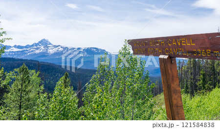 Sign of Mount Edith Cavell at Athabasca Pass Lookout in Jasper National Park, Alberta, Canada. Canadian Rockies summer landscape. Sign of Mount Edith Cavell at Athabasca Pass Lookout in Jasper National Park, Alberta, Canada. Canadian Rockies summer landscape. 121584838