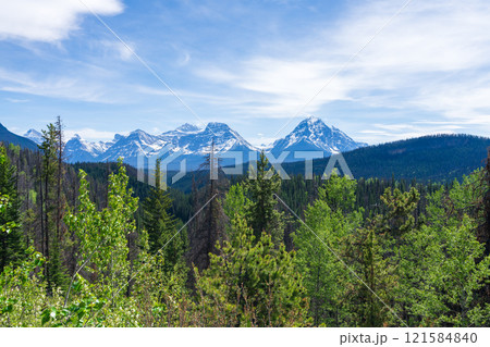 Athabasca Pass Lookout summer landscape in Jasper National Park, Alberta, Canada. Canadian Rockies. 121584840