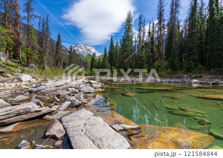 Horseshoe Lake in Jasper National Park, Alberta, Canada. Canadian Rockies summer landscape. Horseshoe Lake in Jasper National Park, Alberta, Canada. Canadian Rockies summer landscape. 121584844