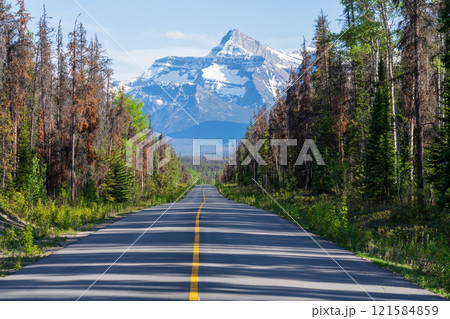 Highway 93A in Jasper National Park, Alberta, Canada. Canadian Rockies summer landscape. Brussels Peak in the background. Highway 93A in Jasper National Park, Alberta, Canada. Canadian Rockies summer landscape. Brussels Peak in the background. 121584859