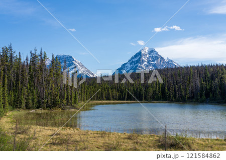 Leach Lake in Jasper National Park. Alberta, Canada. Canadian Rockies summer landscape. 121584862
