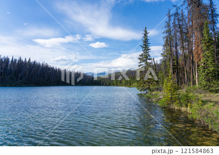 Leach Lake in Jasper National Park. Alberta, Canada. Canadian Rockies summer landscape. Leach Lake in Jasper National Park. Alberta, Canada. Canadian Rockies summer landscape. 121584863