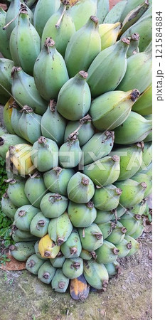Versatile Banana From Farm to Flavorful Delights Versatile Banana From Farm to Flavorful Delights 121584884