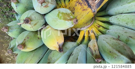Versatile Banana From Farm to Flavorful Delights 121584885