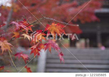 南禅寺　境内から望む山門と紅葉23 121585605