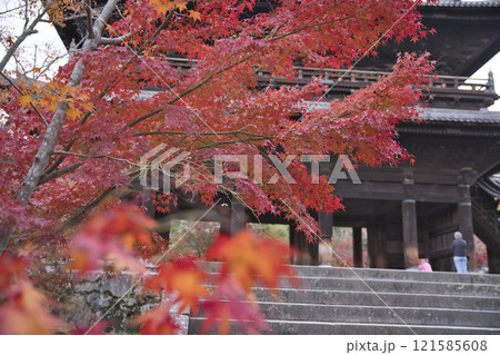 南禅寺 境内から望む山門と紅葉26 南禅寺 境内から望む山門と紅葉26 121585608