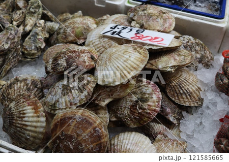 塩竃仲卸市場で買った新鮮な帆立貝 塩竃仲卸市場で買った新鮮な帆立貝 121585665