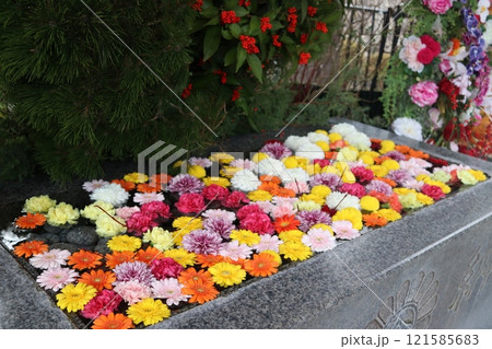 金蛇水神社のカラフルな手水舎 121585683