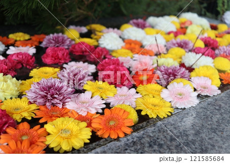 金蛇水神社の手水舎の花 121585684